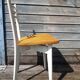 Pair of vintage 50s chairs