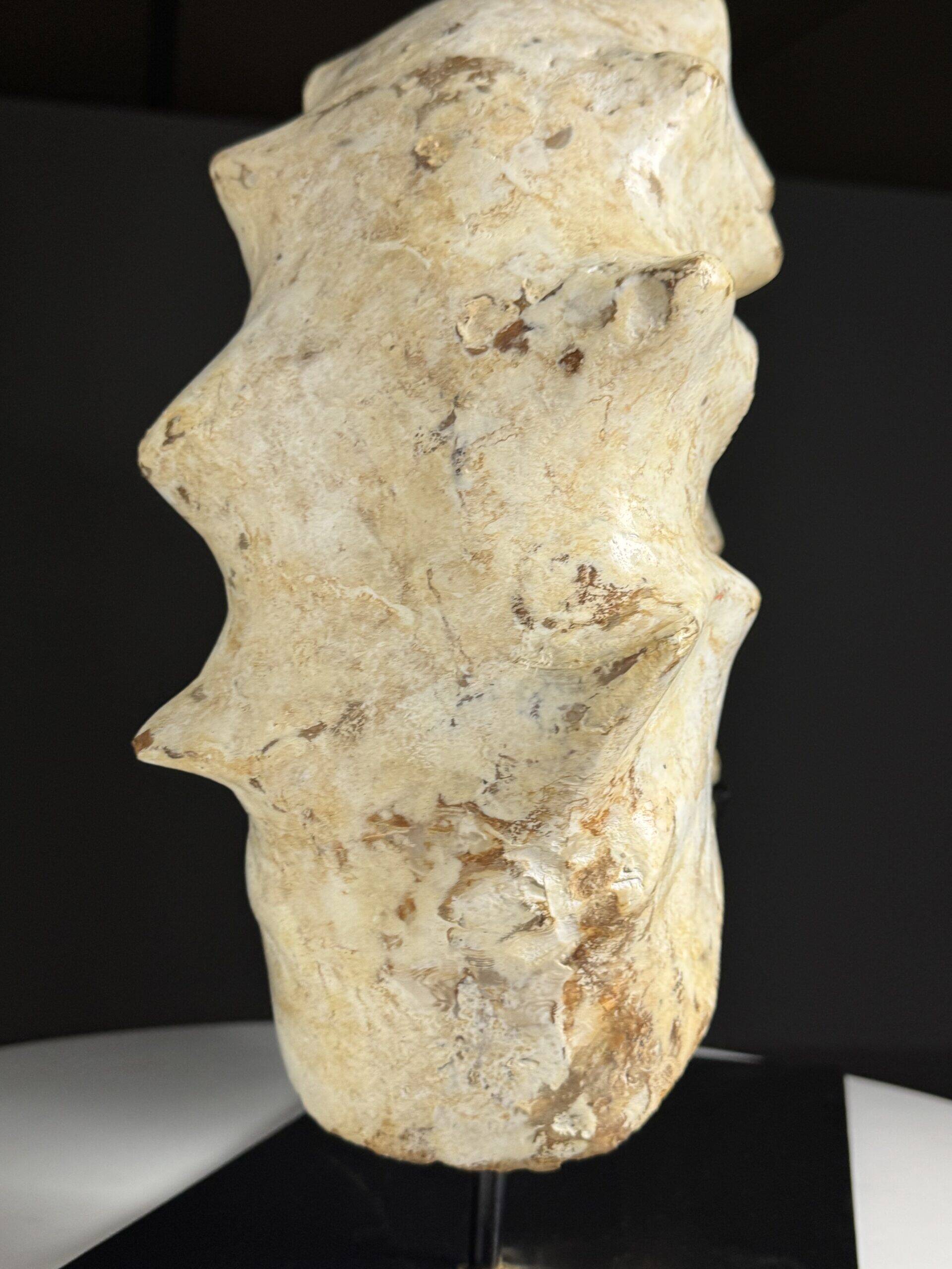 Fossile d'ammonite sur support