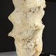 Fossile d'ammonite sur support