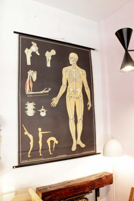 German poster anatomical Hagemann vintage, 1965