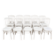 Suite de 10 chaises Napoléon III