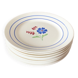 Flat plates iron earth Lunéville "Marcelle"