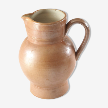 Pitcher in Berry sandstone