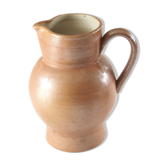 Pitcher in Berry sandstone