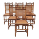Antique set 6 - cane chair oak