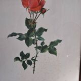 Lithography