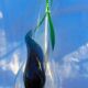 Modernist vase molded glass translucent and green Flavio Poli seguso