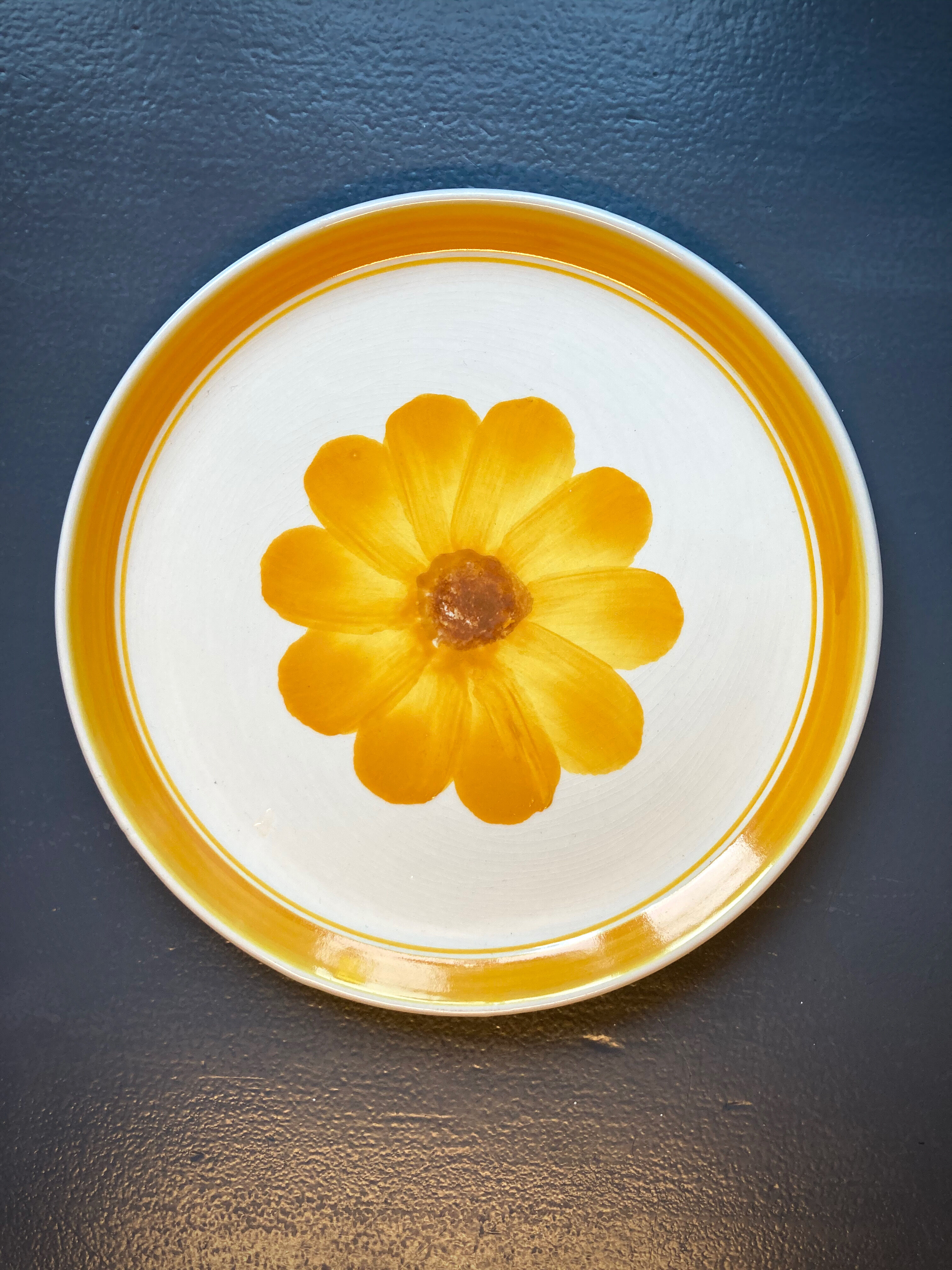 Seven vintage flower power plates