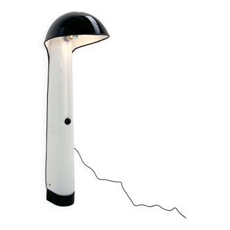 Alba floor lamp by Ermanno Lampa & Sergio Brazzoli for Harvey Guzzini, 1970