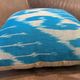 Silk Ikat Pillow Cover, Vertical Stripe Medallion Cushion 16x16