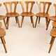 Set of 8 rustic bistro chairs in beech wood with honey patina, 1950s.