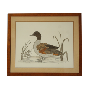 Tableau vintage aquarelle canard