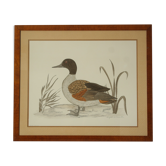 Tableau vintage aquarelle canard De Terronblan Monbaly Dayelle