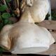 Bust plaster "the florentine" called "the rieuse" after Jean-Baptiste Pigalle