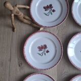 Set of 9 Badonviller flower dinner plates