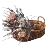 Corbeille