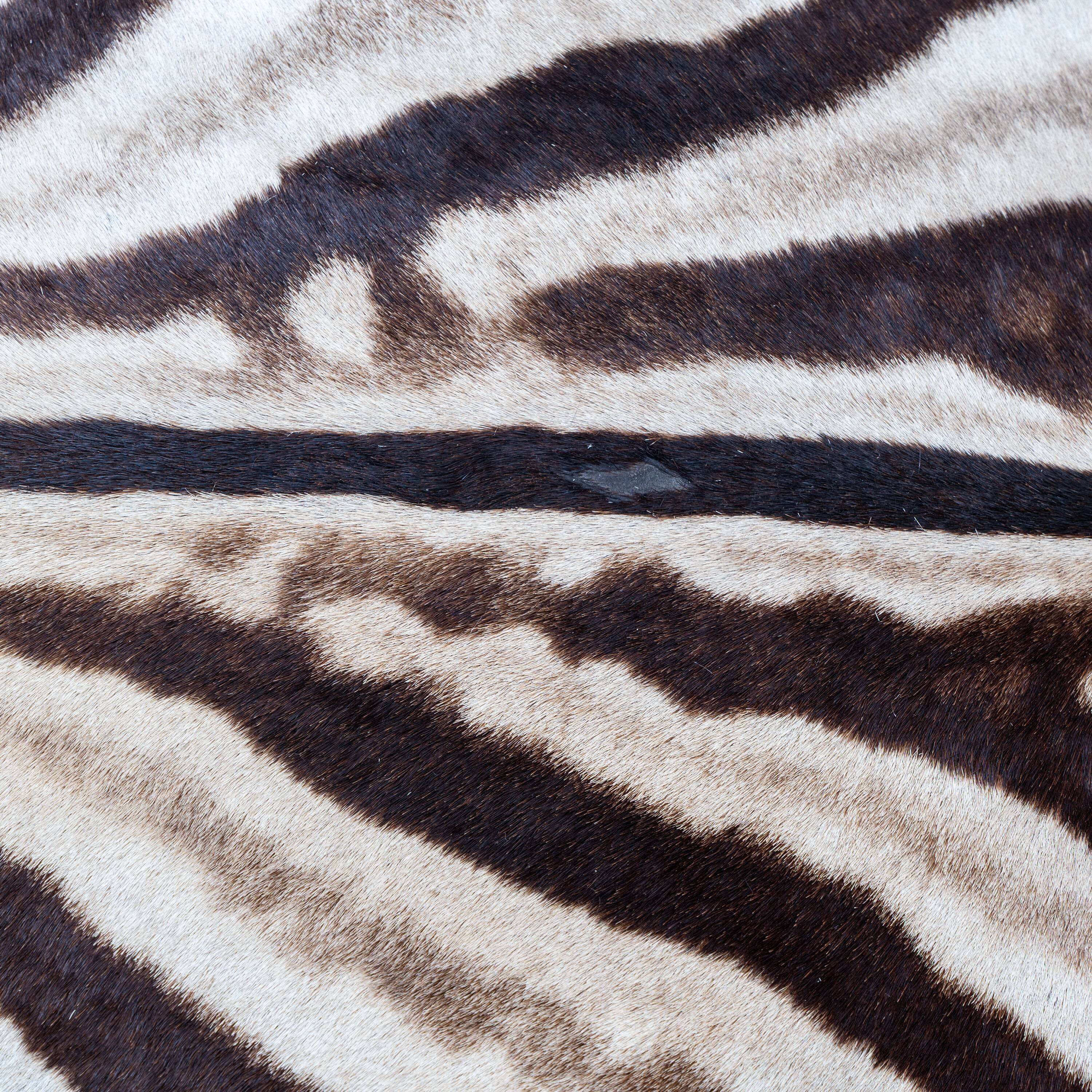 Italian Chaise Longue Cowhide with Zebra Pattern, 1980s