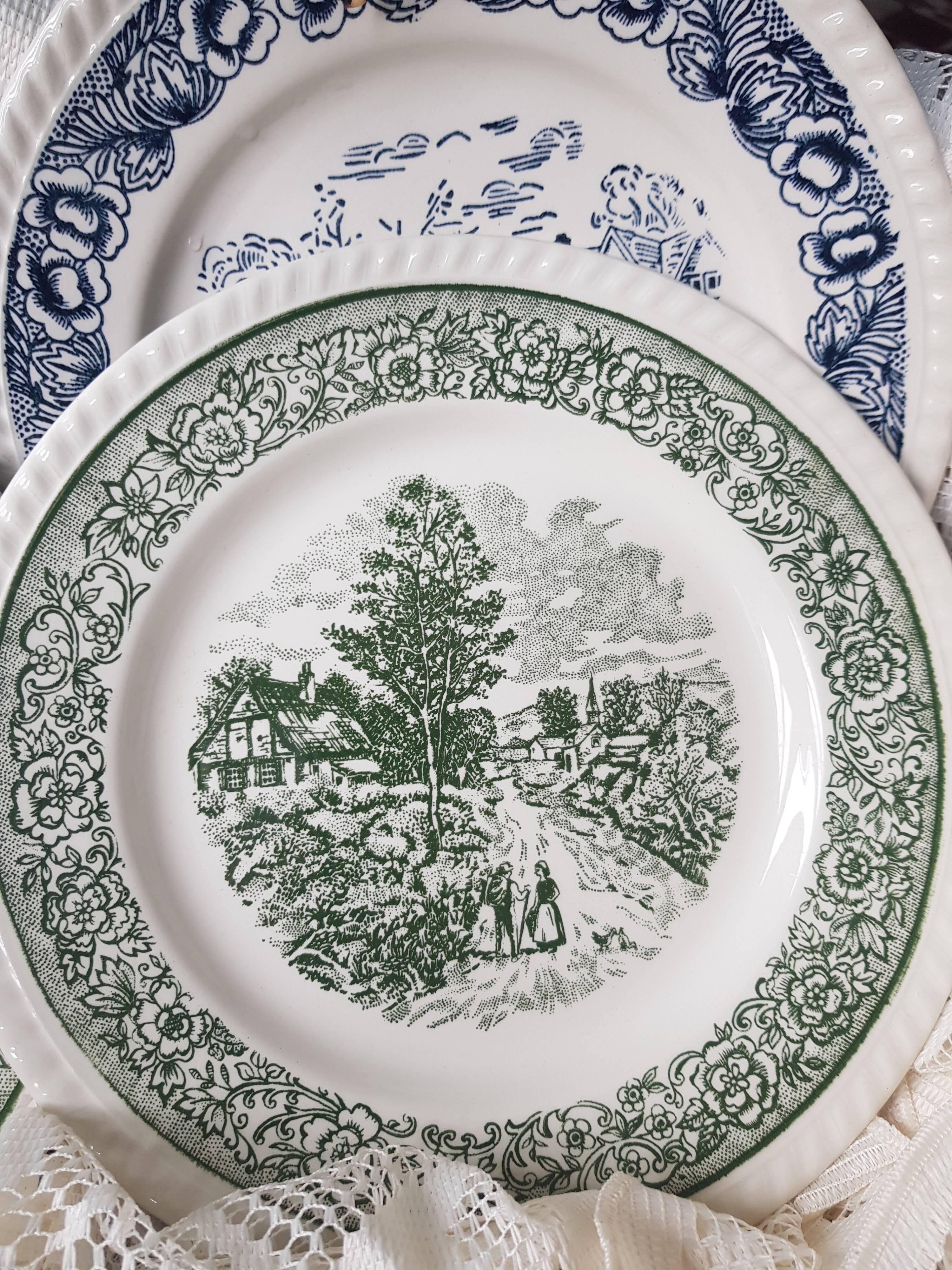 Lot de 4 assiettes plates vertes et bleues