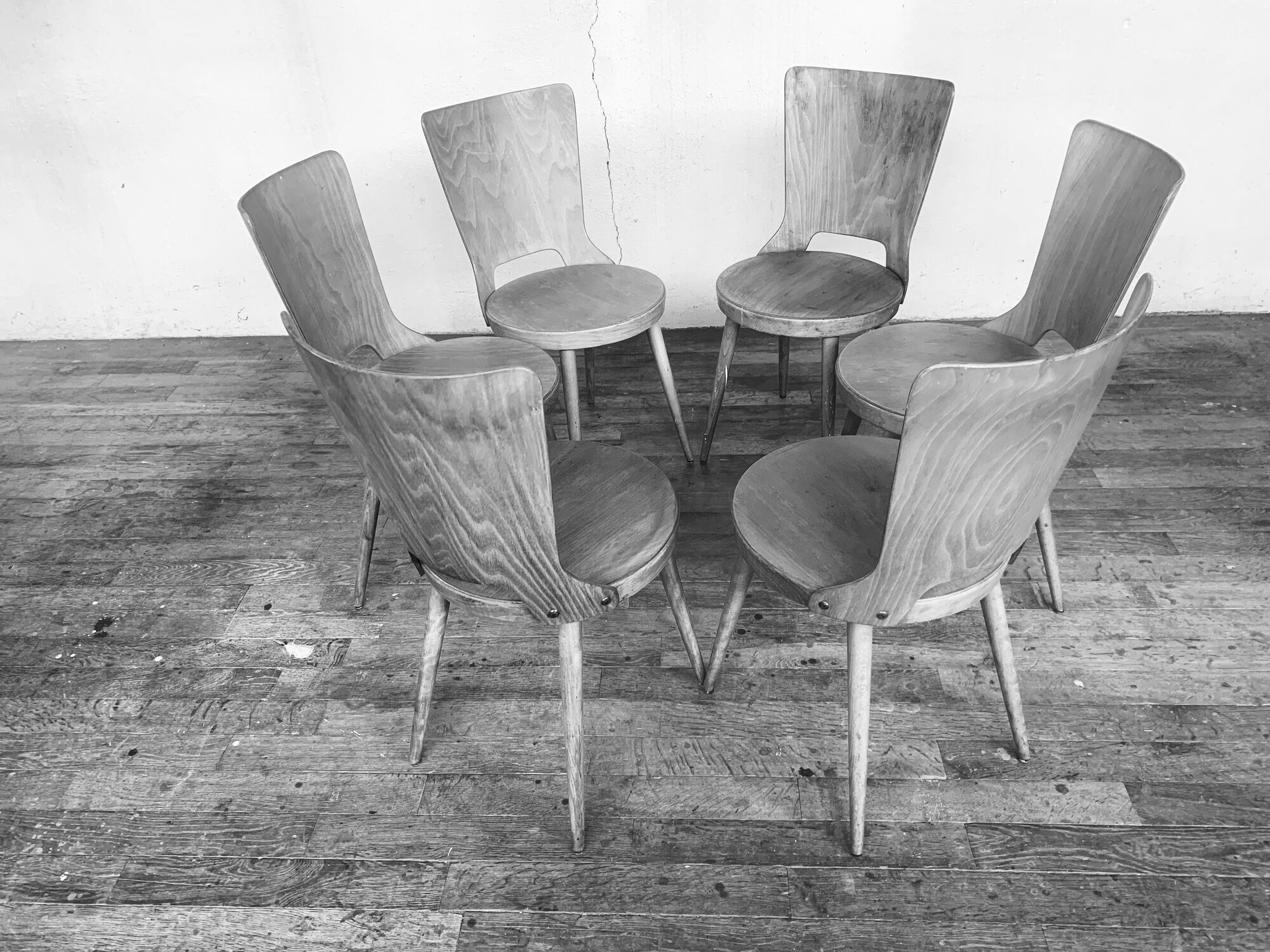 Series of 6 chairs bistro Baumann model Dove year 1950/1960