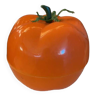 Bac à glaçons tomate orange