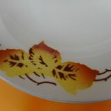 Set of 11 earthenware plates