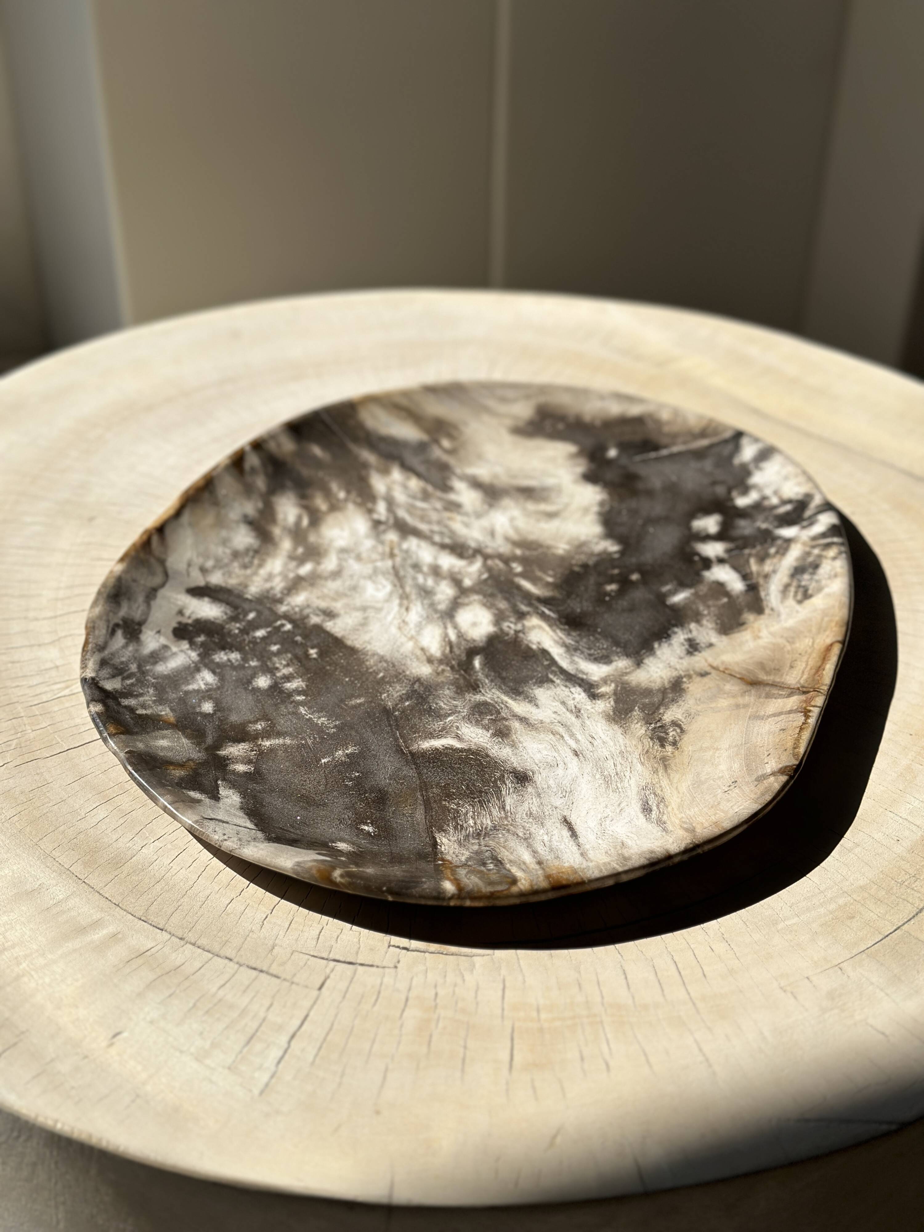 Very large pocket or dish in petrified wood