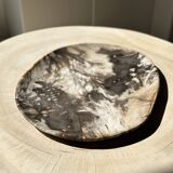 Very large pocket or dish in petrified wood