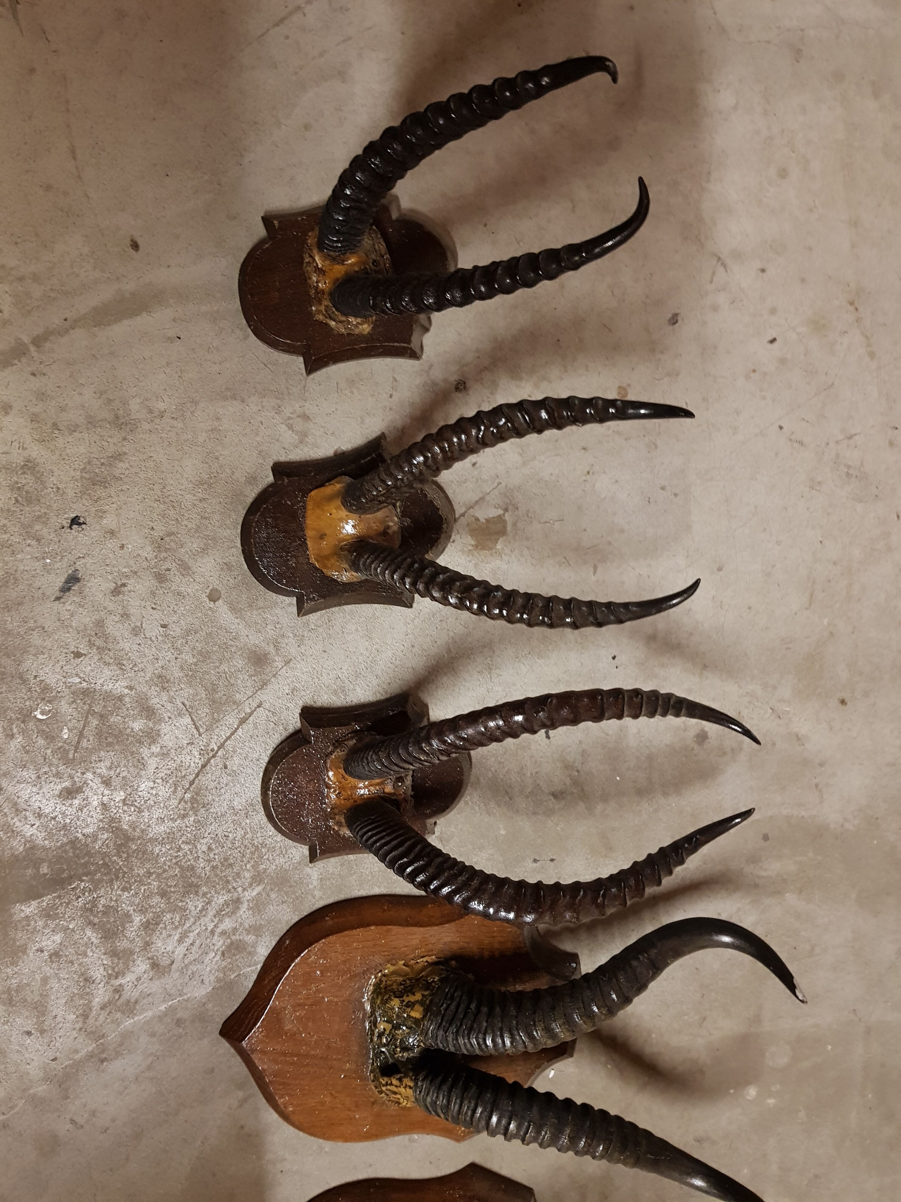 Trophies