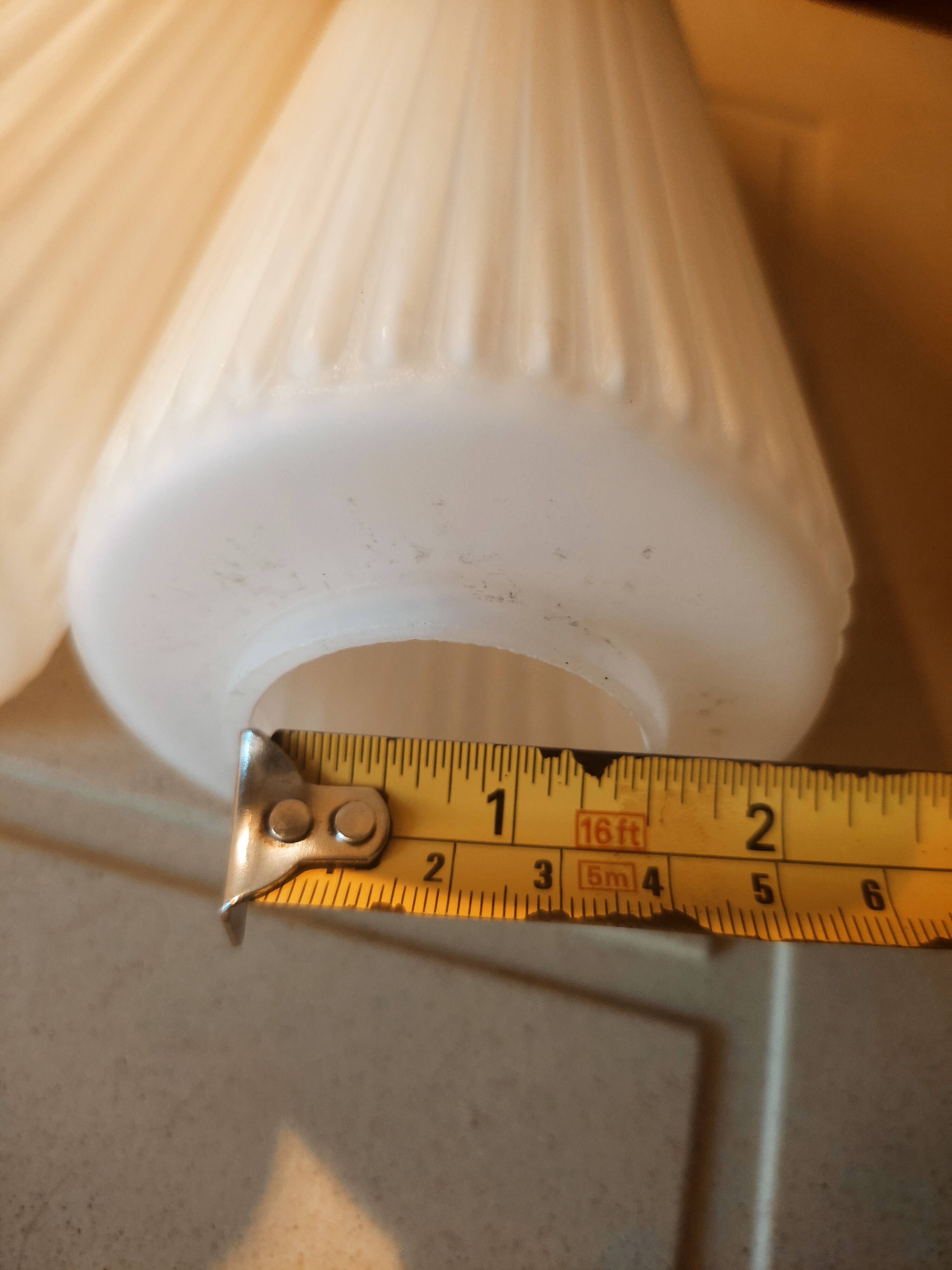 Striated opaline tulips