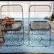 2 Chaises pliantes de Giancarlo Piretti pour Castelli, Italy