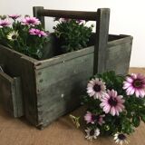 Garden basket, countryside