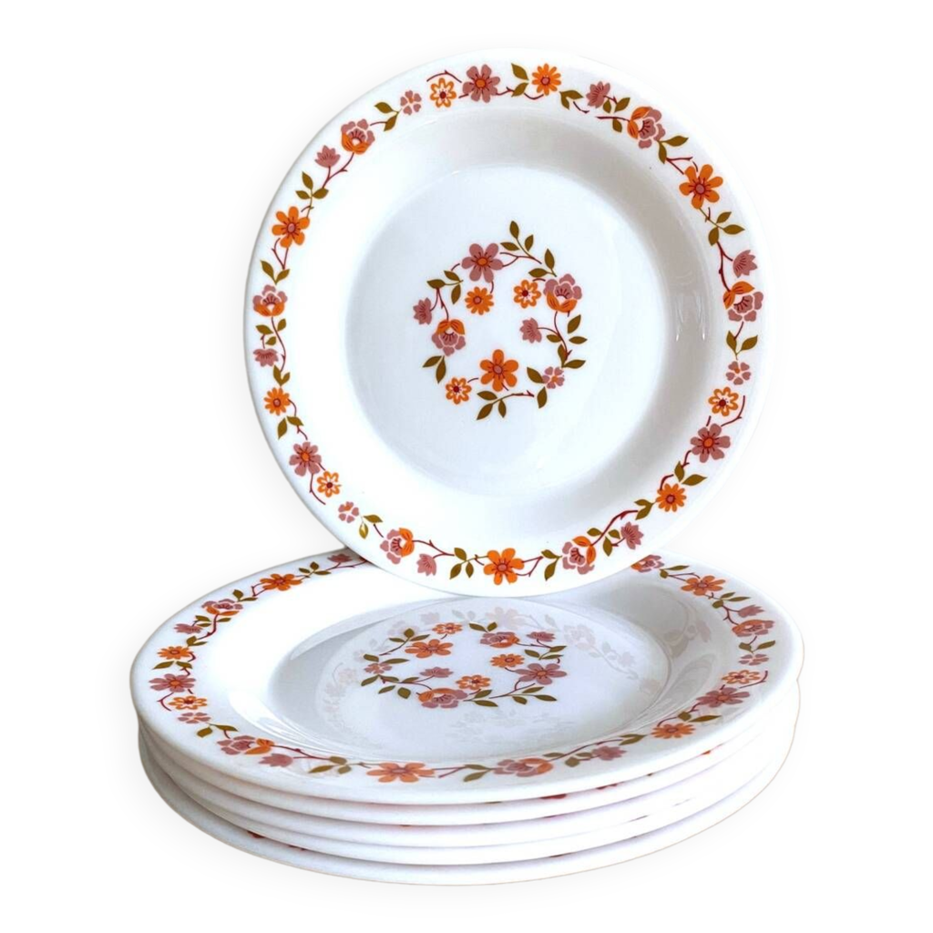 6 assiettes à dessert + 6 tasses à café (Scania Arcopal