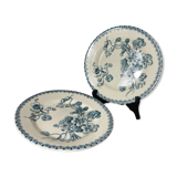 Giens Iron Earth Plates