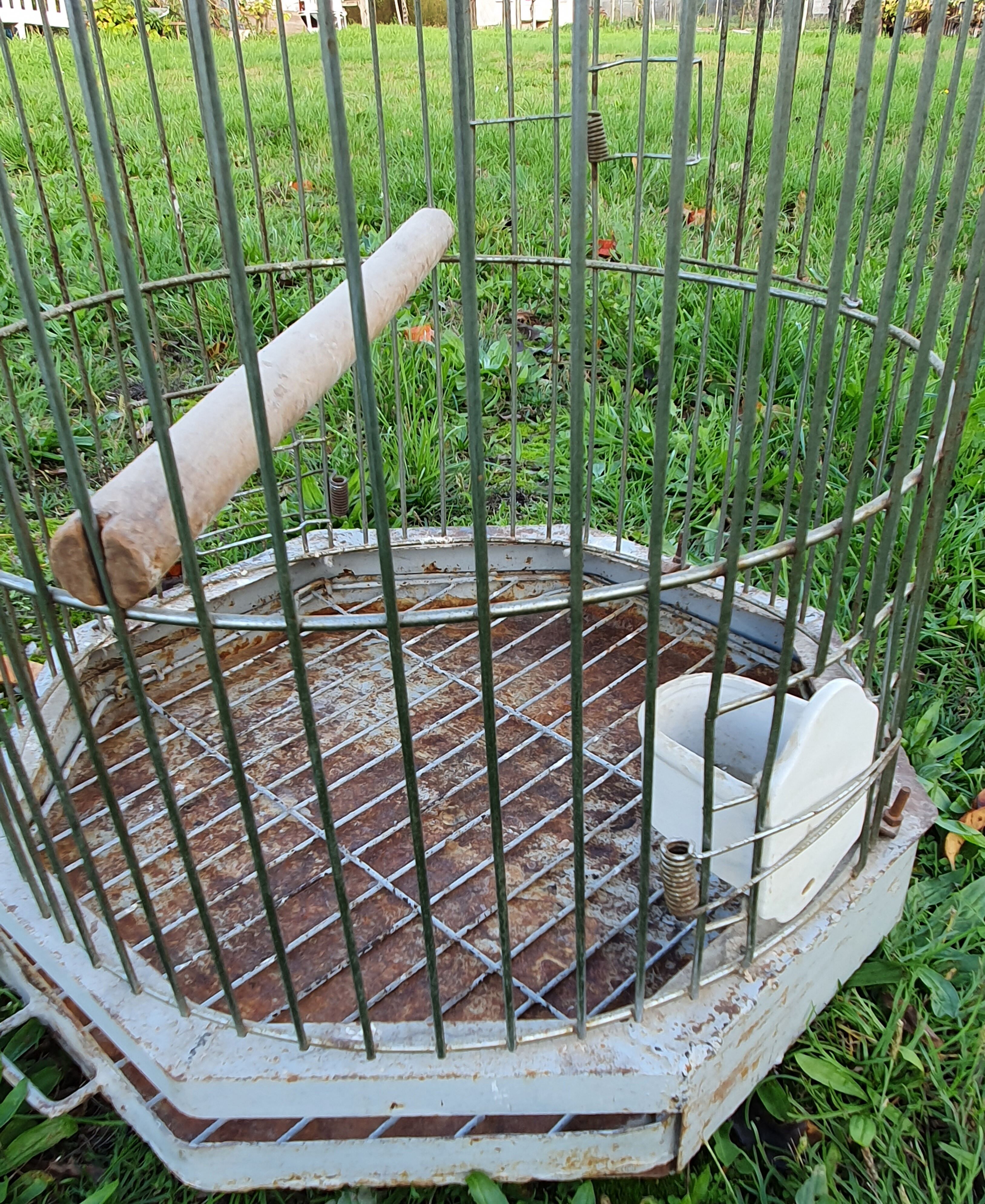 Large old iron parrot cage