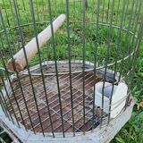 Cage a perroquet ancienne en fer