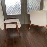 Fauteuil scandinave vintage Ruster avec tabouret du designer suédois Yngve Ekström pour Pastoe, années 60