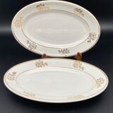 Small-flowered and smoothed silver raviers