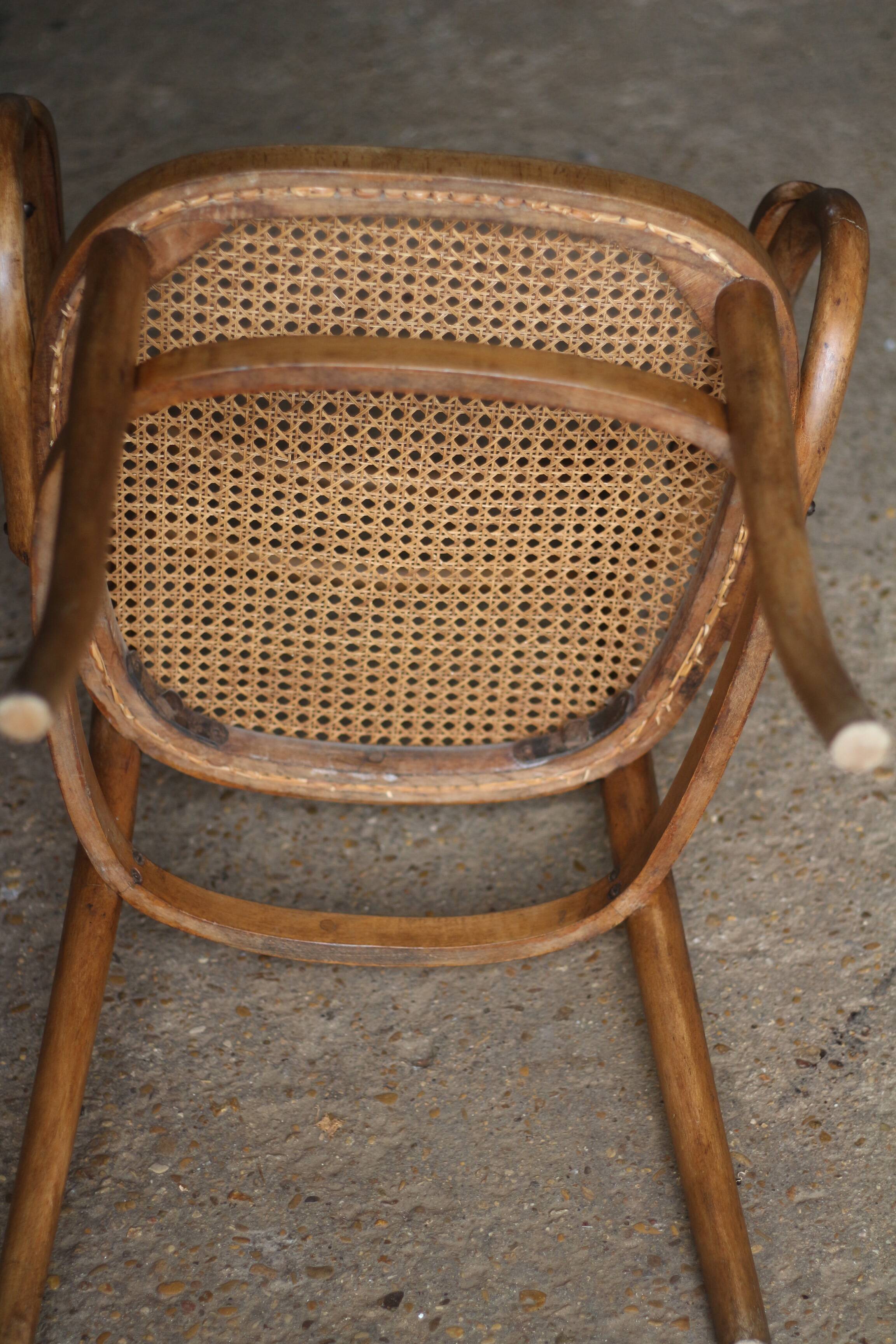 fauteuil en bois courbé  (Cambier ou Carton) vers 1900.