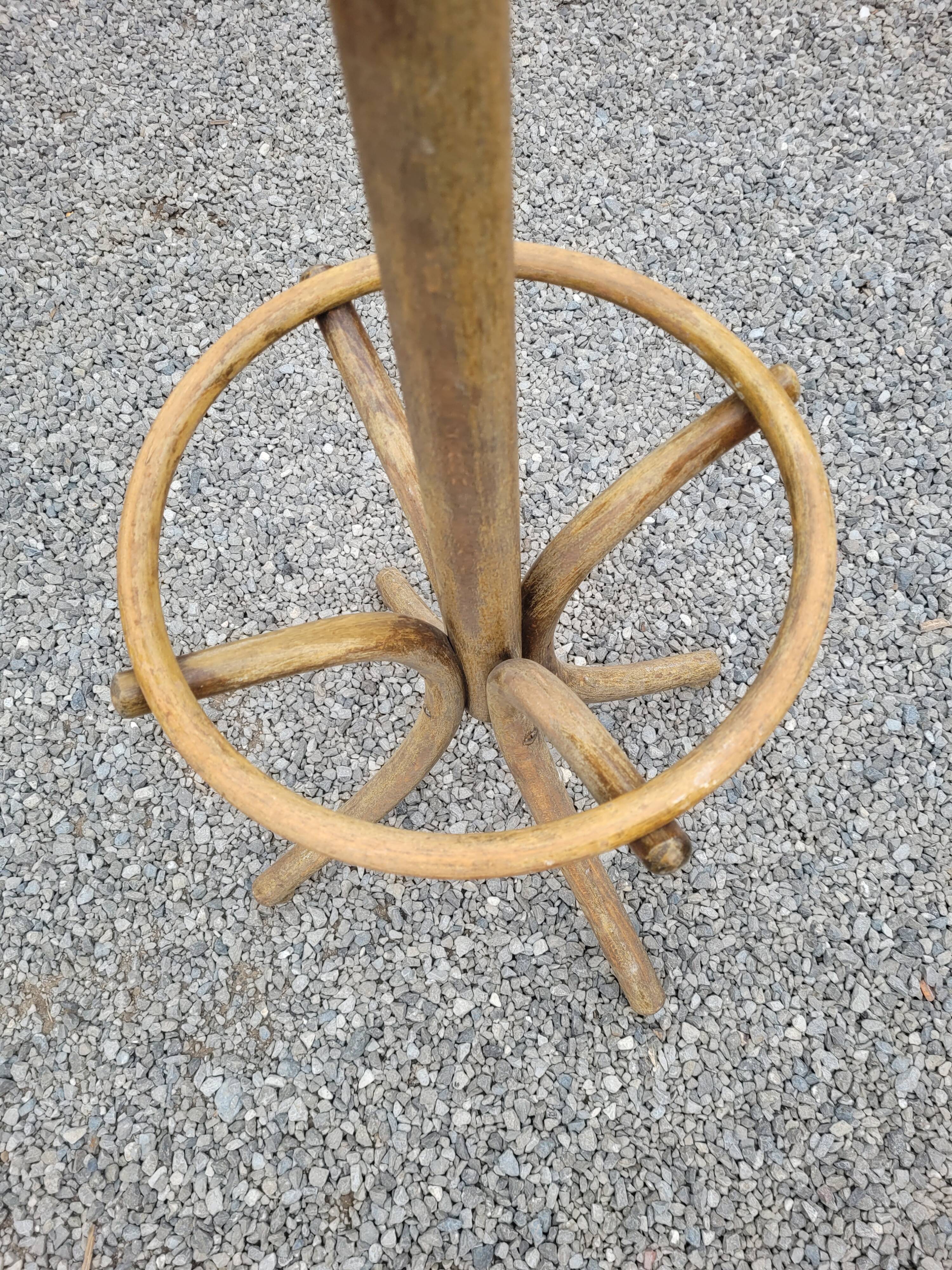 Old parrot in curved wood