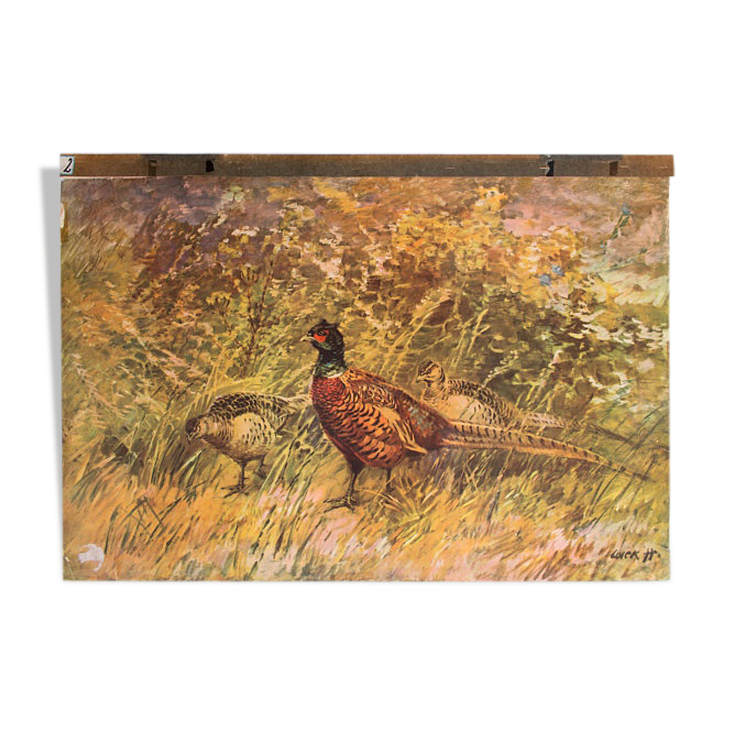 Affiche "faisans" 1891