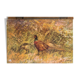 Poster "pheasants" 1891