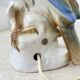 Vintage porcelain Parfume lamp bird , 1950s