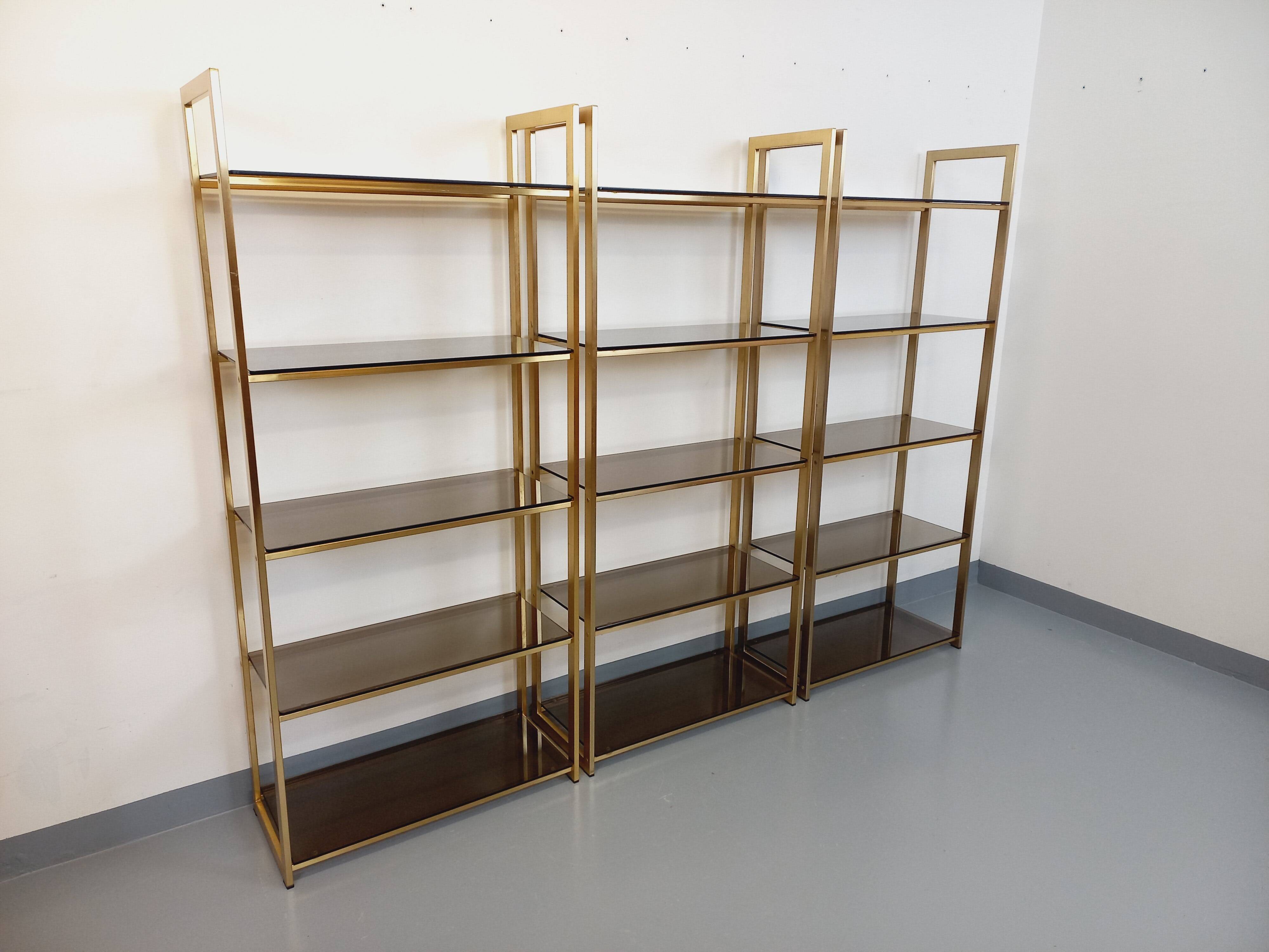 Artelano vintage bookcase shelves in gold metal smoked glass from the 70s