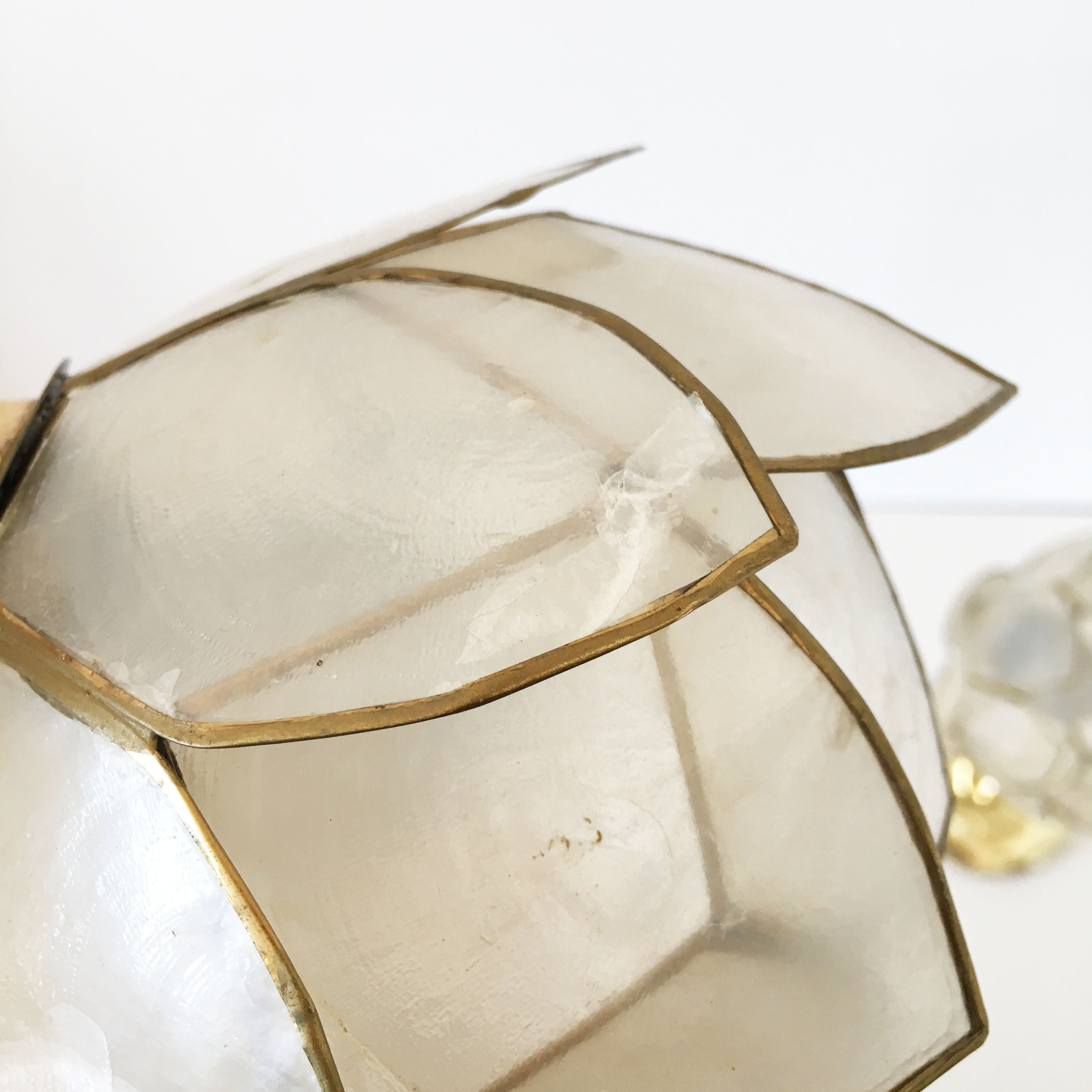 Pair of mother-of-pearl flower sconces