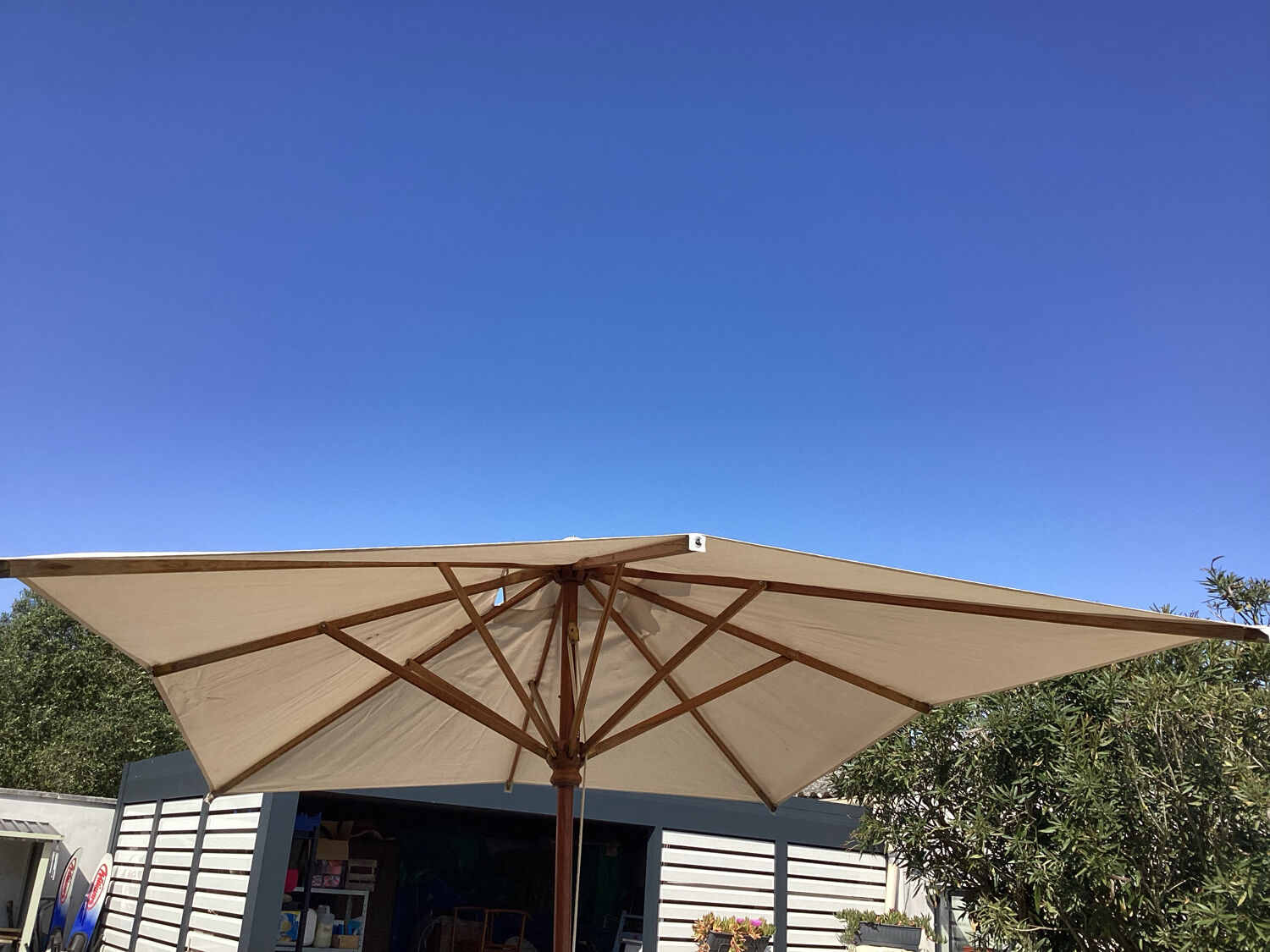 Parasol structure in exotic wood