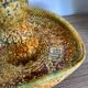 Enamel hand candle holder