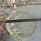 Four bohemian crystal vases