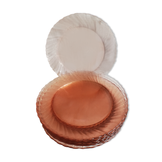 Set of 8 flat plates Rosaline Arcoroc