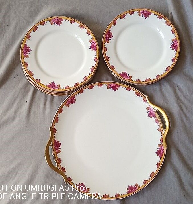 Limoges porcelain by André François (1919-1934) - 12 plates + 1 dish