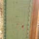 Fir woodwork library